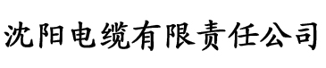 黄瓜视频污成年电缆厂logo